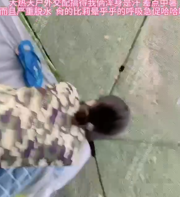 极品骚鸡-姬芭查比莉-付费新  野外交配仪式（1V,83M）